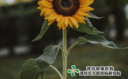 牛皮癬對人體的危害有哪些?