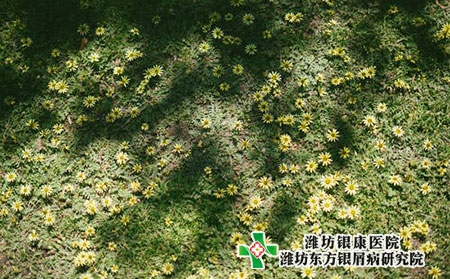 銀屑病患者心理治療重要嗎?如何護理? 銀屑病患者心理治療重要嗎?如何護理?