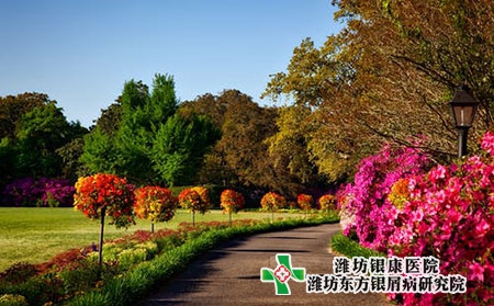 【初一】大年初一,濰坊銀屑病醫院正常接診! 【初一】大年初一,濰坊銀屑病醫院正常接診!