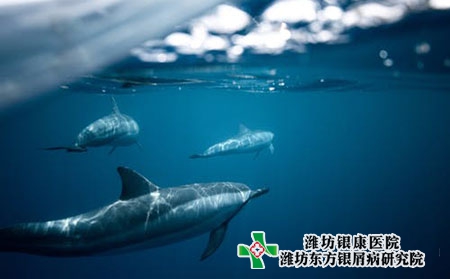 出汗有利于牛皮癬的治療嗎?治療要花多少錢?