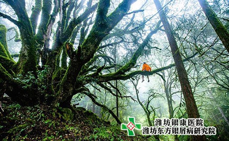 兒童患上銀屑病有什么危害?會對兒童產生影響嗎? 兒童患上銀屑病有什么危害?會對兒童產生影響嗎?