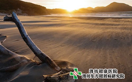 重度牛皮膚癬什么的癥狀圖片