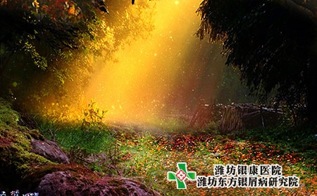 全身牛皮膚癬的癥狀變大圖片入