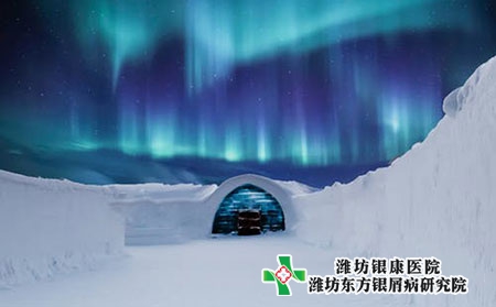 初期嬰兒牛牛皮膚癬的癥狀長什么樣圖片