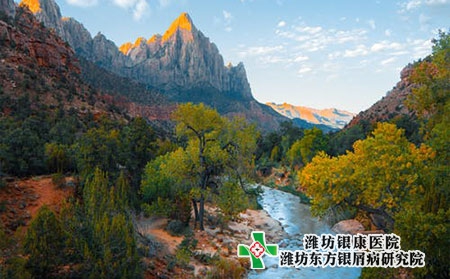 牛皮膚癬的癥狀圖片早期潰爛圖片大全