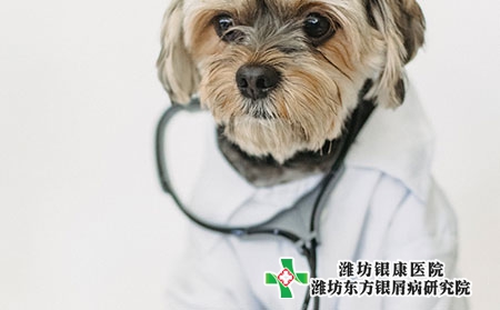 治療牛皮膚癬藥膏圖片會(huì)傳染嗎圖片