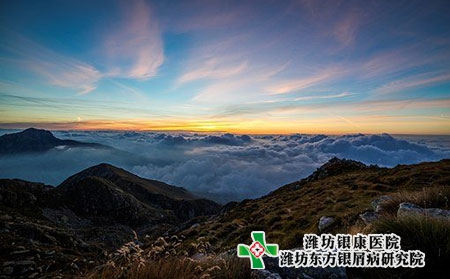 初期牛皮膚癬怎么治圖片傳染圖片 初期牛皮膚癬怎么治圖片傳染圖片