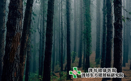 滴狀牛皮膚癬的癥狀圖片有幾種圖片