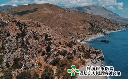 腿上牛皮膚癬圖片癥狀圖片頭部