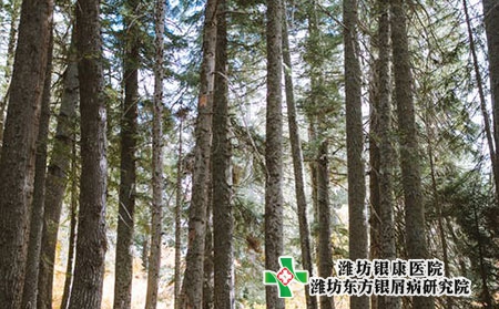 腳上牛皮膚癬的癥狀圖片