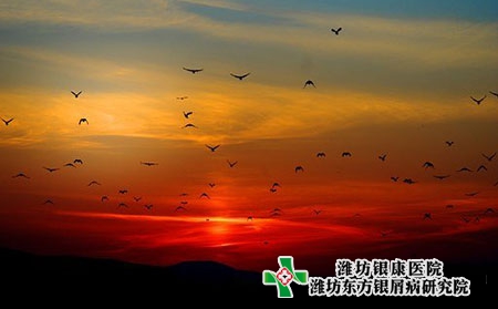 銀屑病的常見癥狀類型有哪些? 銀屑病的常見癥狀類型有哪些?