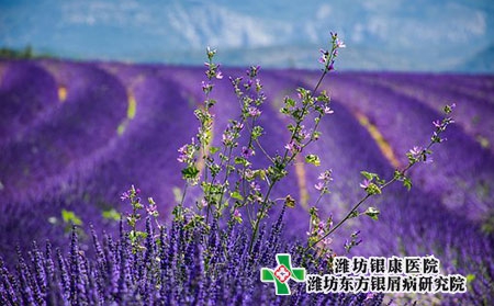 銀屑病會不會傳染?如何中醫養生?