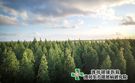 聊城治療牛皮癬的醫院應該選擇哪一家