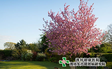 身體內在的病變會導致牛皮癬嗎?誘因有哪些? 身體內在的病變會導致牛皮癬嗎?誘因有哪些?