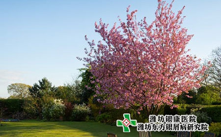 那些因素會導致牛皮膚癬病情加重?需要注意什么?