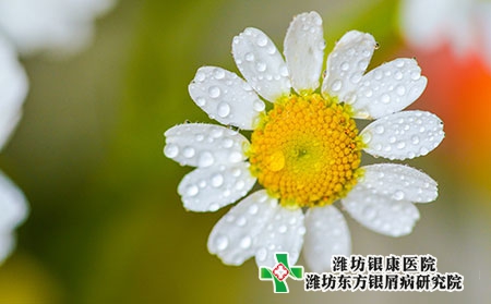 牛皮膚癬治療應該注意什么?如何預防比較好?