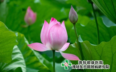 牛皮癬很難治療嗎?難治的原因有哪些?