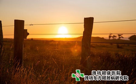 濰坊治療銀屑病醫(yī)院到底能不能治好 濰坊治療銀屑病醫(yī)院到底能不能治好