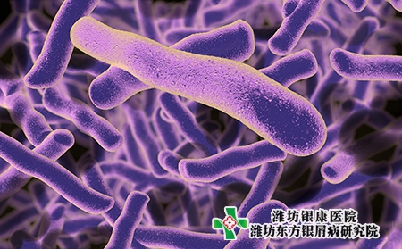 濰坊壽光能看牛皮癬的醫院在哪里