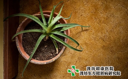 萊蕪銀屑病醫院哪家醫院治得好