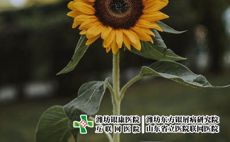 濰坊哪里看牛皮癬好-濰坊什么醫院看牛皮癬的好