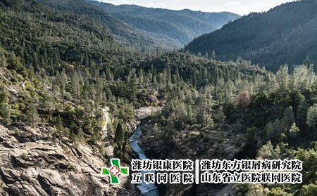 治療牛皮癬需要補充什么維生素