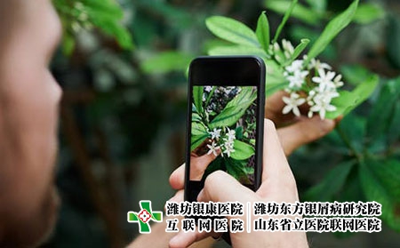 [濰坊銀屑病專科研究院虞和路]銀屑病的病因是什么呢?