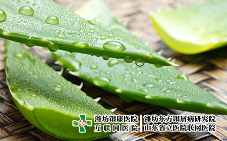 掌跖膿皰銀屑病的6個土方偏方之一：蘆薈