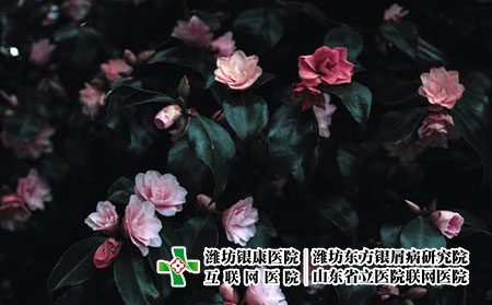 濰坊那里專科醫院專業治療牛皮癬效果好 濰坊那里專科醫院專業治療牛皮癬效果好