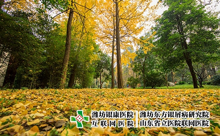 攝圖網_500750742_秋冬的黃色銀杏非常美麗-（企業商用）