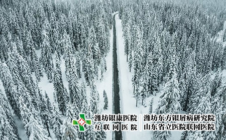 4 (213)冬 4 (213)冬