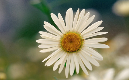 秋季銀屑病患者的預防護理