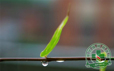 秋雨連綿天銀屑病患者如何祛濕