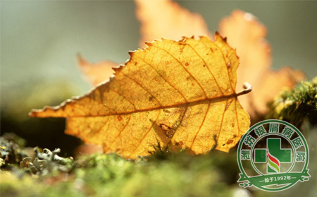 濰坊銀屑病醫院