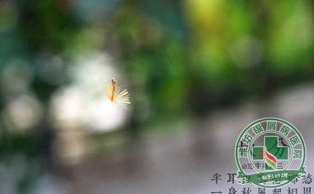 季節(jié)性銀屑病預(yù)防護(hù)理