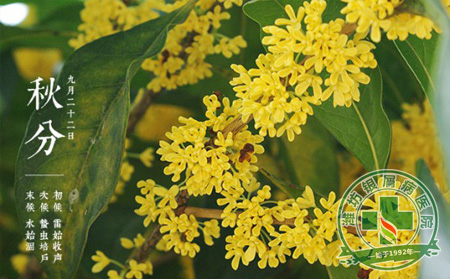 濰坊銀屑病醫(yī)院