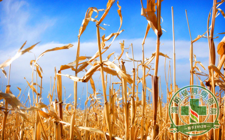 濰坊銀屑病醫院