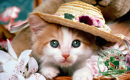 濰坊銀屑病醫院