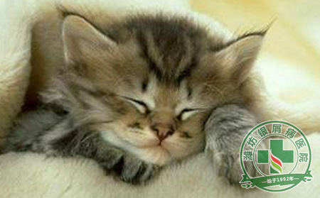 濰坊銀屑病醫院