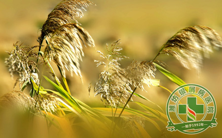 濰坊銀屑病醫院