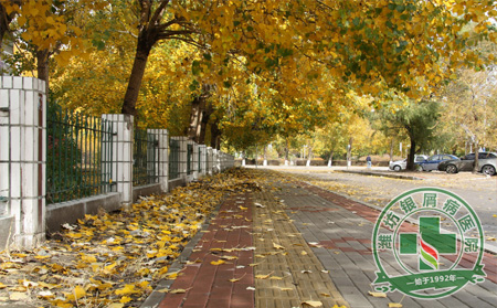 銀屑病秋季護理