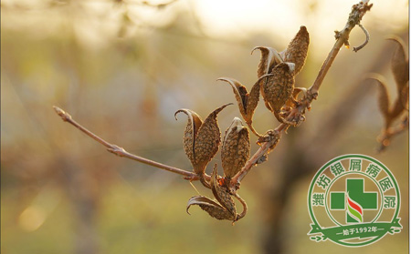 秋季銀屑病的護理