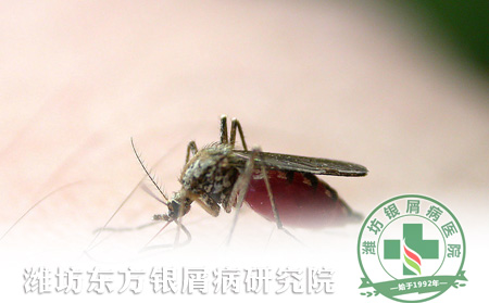 夏季銀屑病患者要如何預(yù)防蚊蟲叮咬