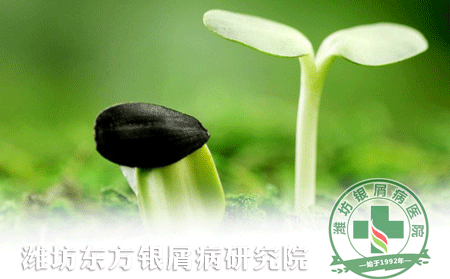 春季防治牛皮癬需注意幾大方面