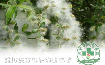 柳絮紛飛，牛皮癬患者需正確預防過敏