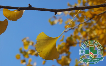 秋冬銀屑病護理