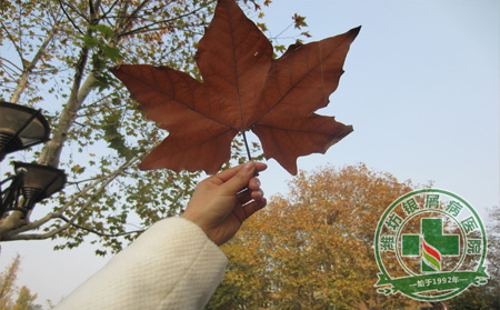 銀屑病冬季護理