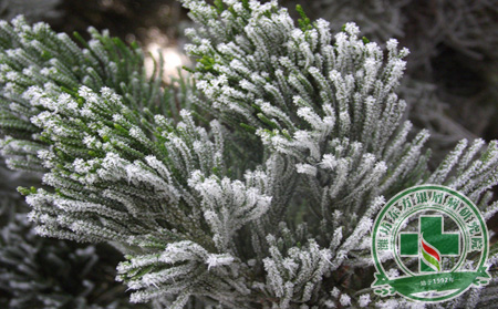 冬季銀屑病護(hù)理