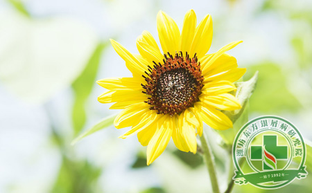 三大調整助力銀屑病護理