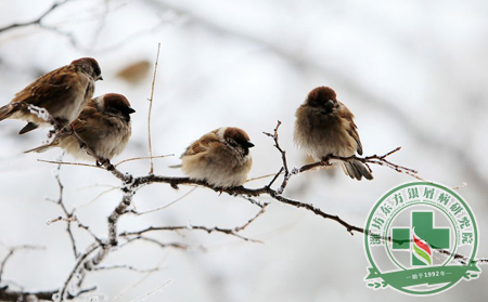 冬季銀屑病預防護理3條保健康